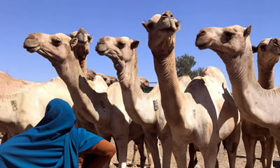 SOMALIA TOURS
